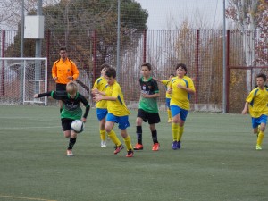 Foto del partido Palestra Atenea B - Alevín B