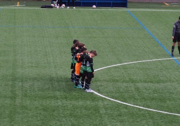 RESUMEN | ETAPA ALEVÍN – INFANTIL